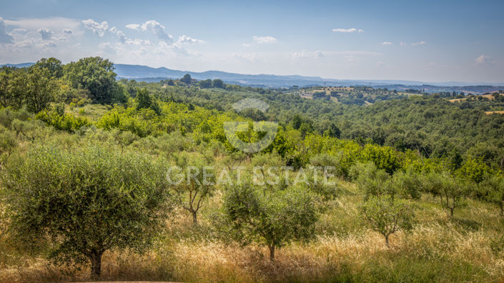 Image No.56-17 Bed Country House for sale