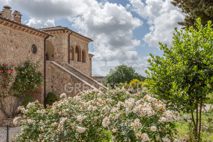 Image No.29-12 Bed Villa for sale