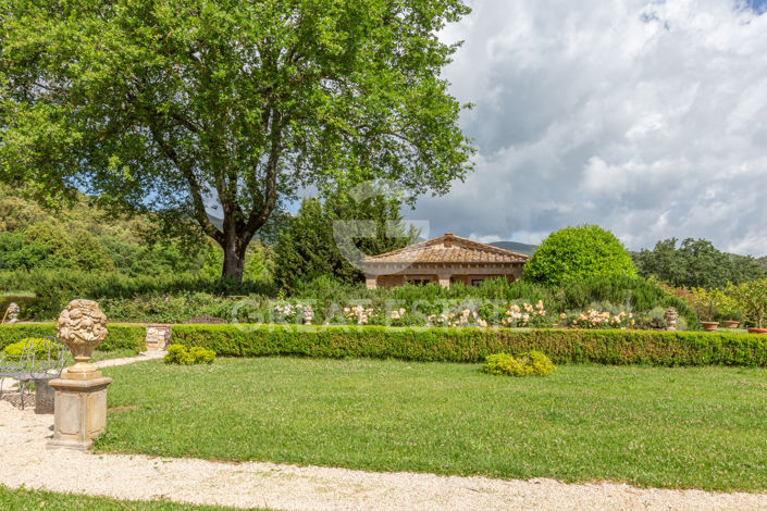 Image No.32-12 Bed Villa for sale