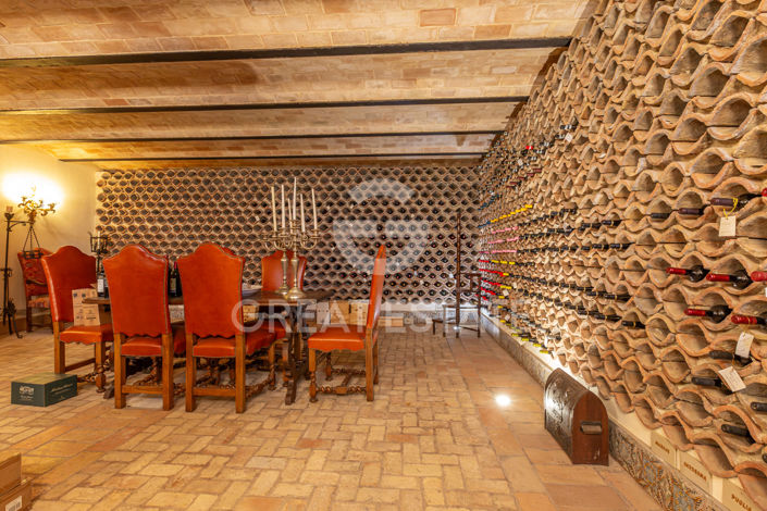 Image No.49-12 Bed Villa for sale