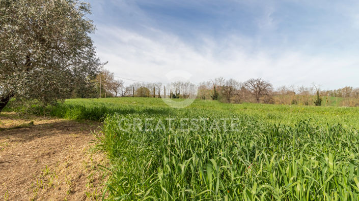 Image No.18-9 Bed Country House for sale