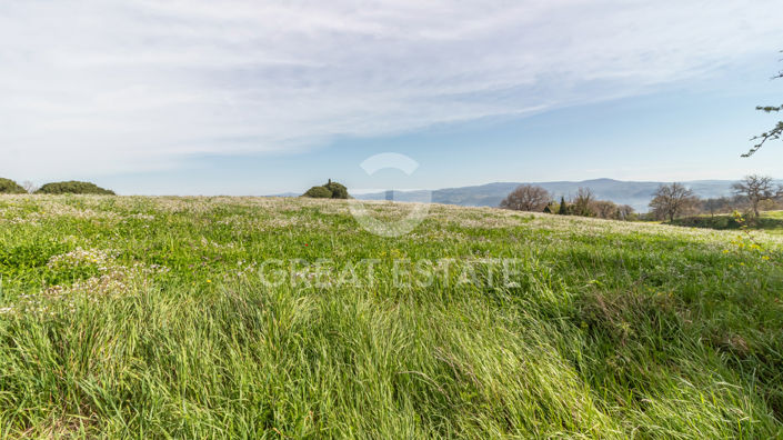 Image No.19-9 Bed Country House for sale