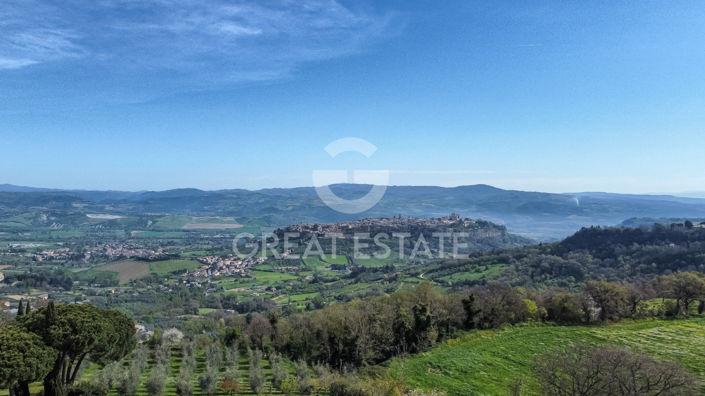 Image No.41-9 Bed Country House for sale