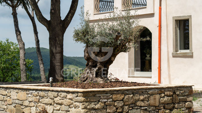 Image No.4-5 Bed Villa for sale