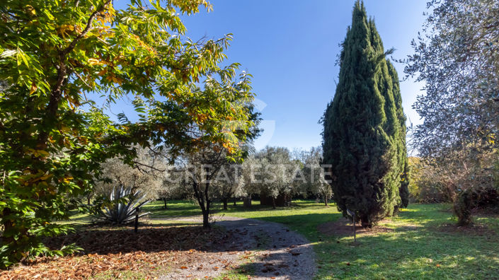 Image No.14-5 Bed Country House for sale