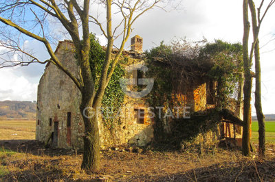 vendesi-rustico-casale-in-toscana-siena-ceton