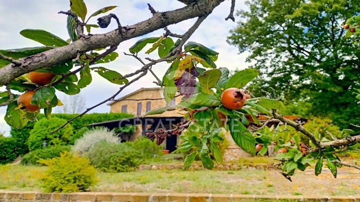 Image No.19-3 Bed Country House for sale