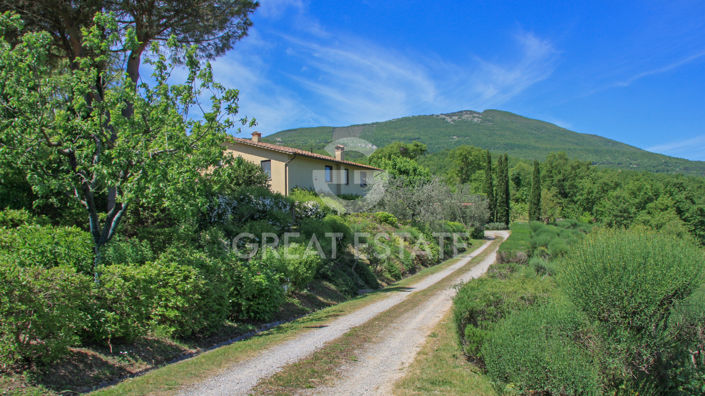 Image No.24-9 Bed Country House for sale