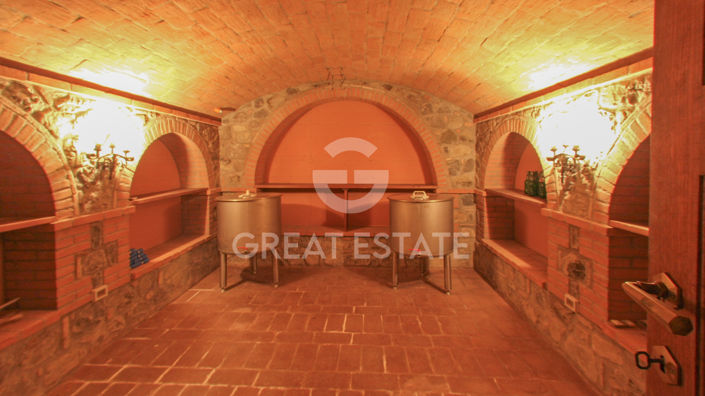 Image No.50-9 Bed Country House for sale