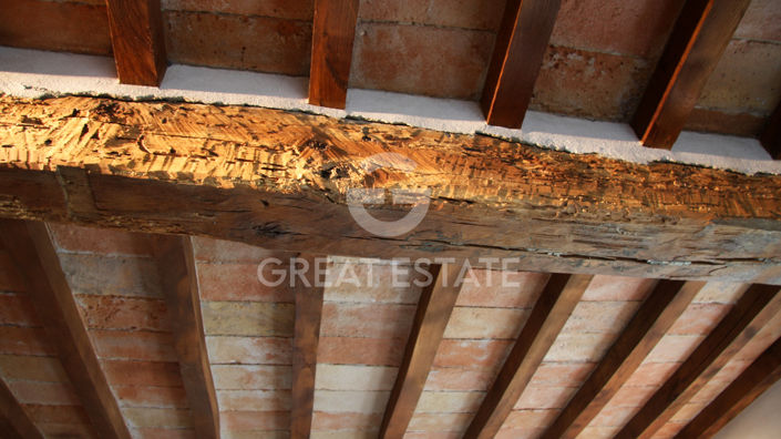 Image No.51-9 Bed Country House for sale