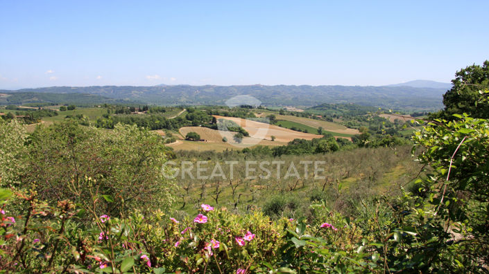 Image No.58-9 Bed Country House for sale