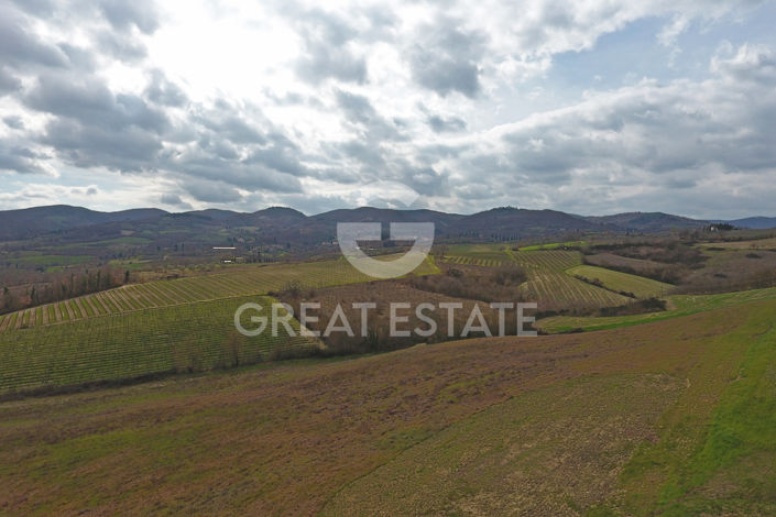 Image No.25-6 Bed Vineyard for sale