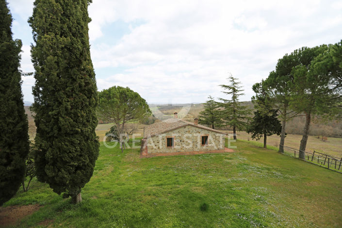 Image No.29-6 Bed Vineyard for sale