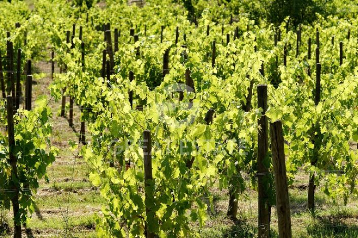 Image No.20-9 Bed Country House for sale