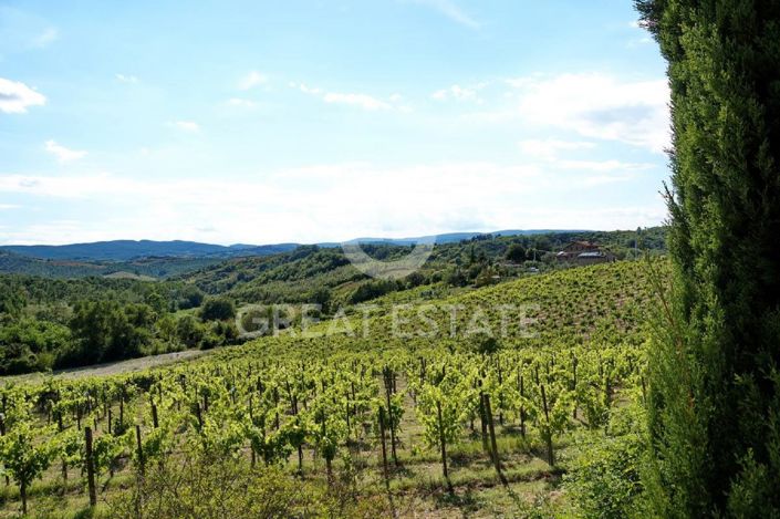 Image No.22-9 Bed Country House for sale