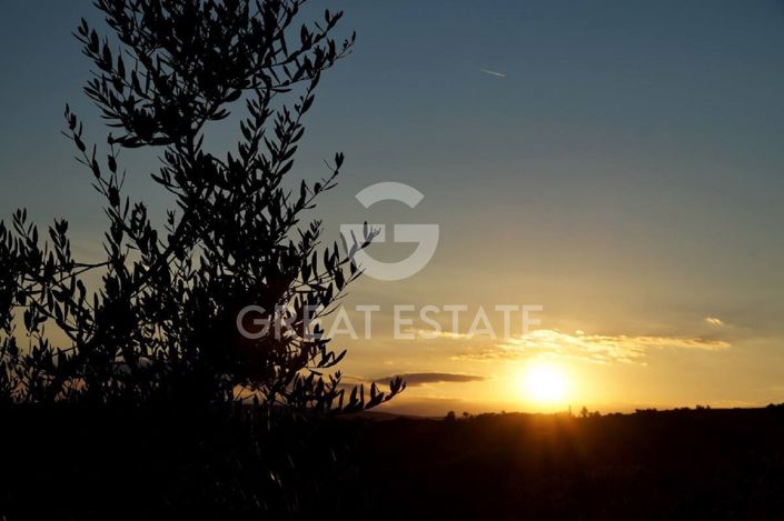 Image No.23-9 Bed Country House for sale