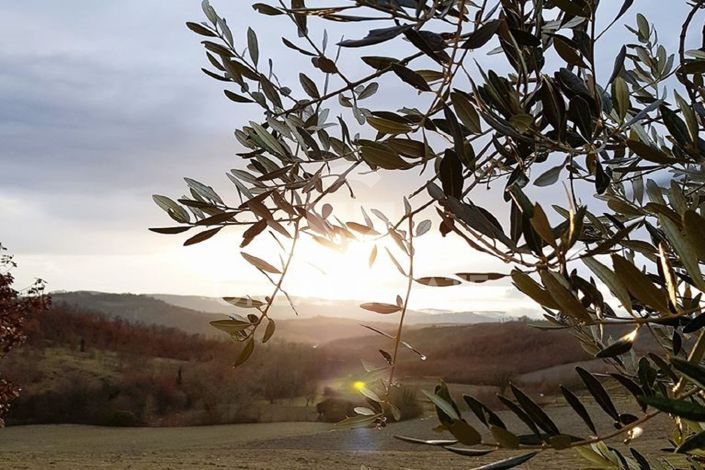 Image No.28-9 Bed Country House for sale