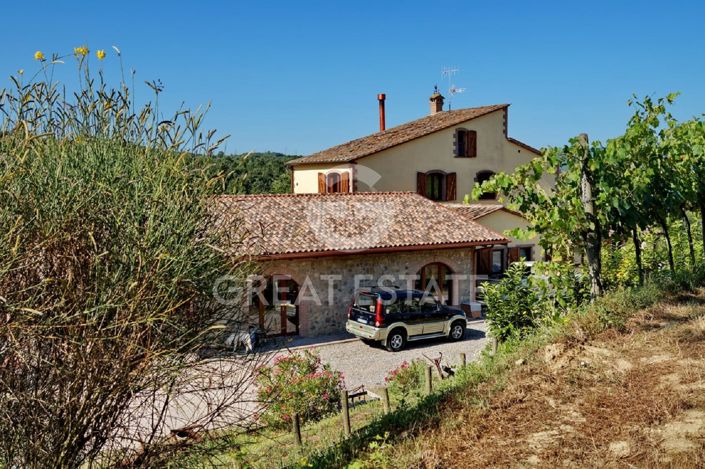 Image No.4-9 Bed Country House for sale