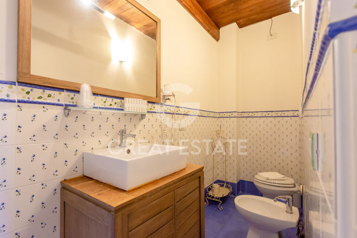 Image No.41-30 Bed Farmhouse for sale