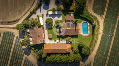 Photo_3