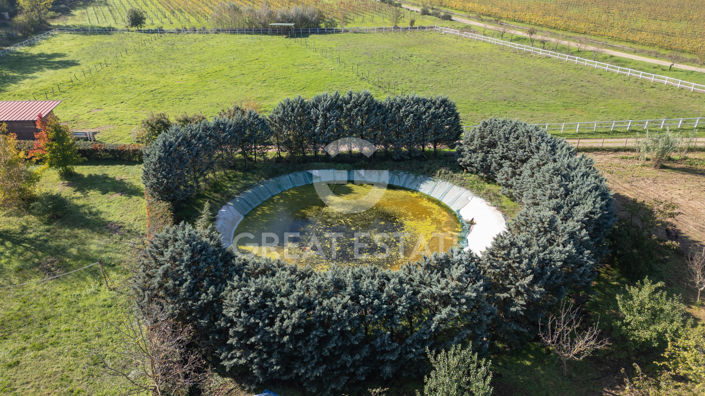 Image No.37-Country House for sale