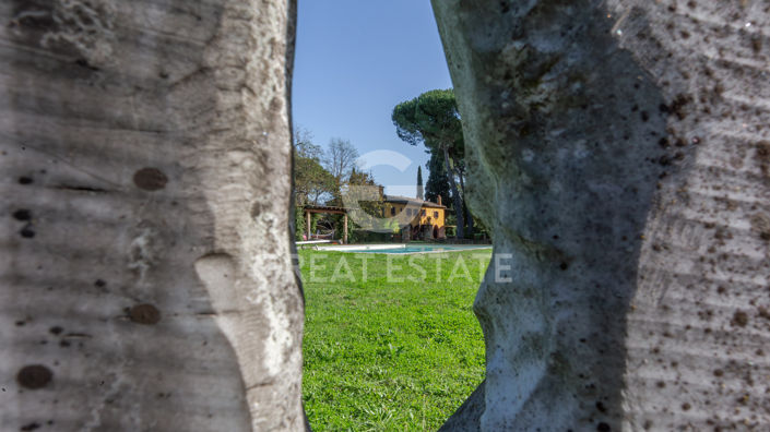 Image No.48-Country House for sale