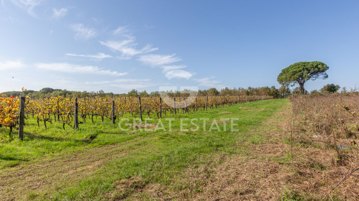 Image No.54-Country House for sale