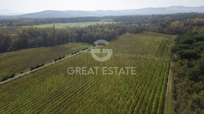 Image No.55-Country House for sale