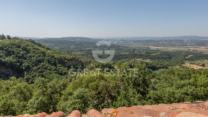 Image No.39-10 Bed Country House for sale