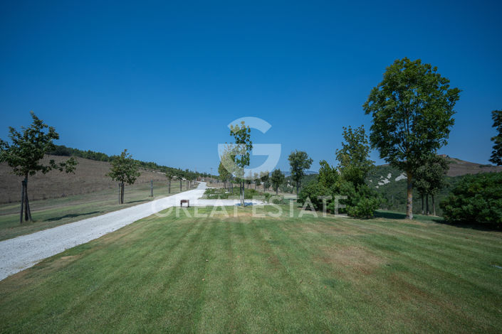 Image No.20-5 Bed Country House for sale