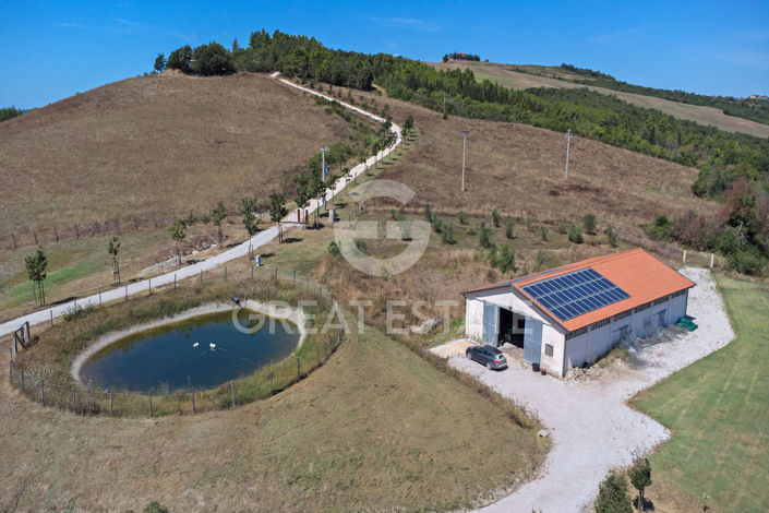 Image No.39-5 Bed Country House for sale