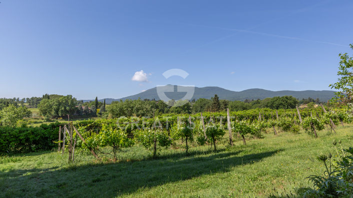 Image No.42-Maison de campagne de 6 chambres à vendre à Cetona