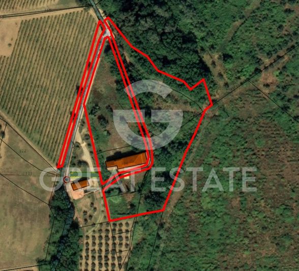 Image No.2-floorplan-2