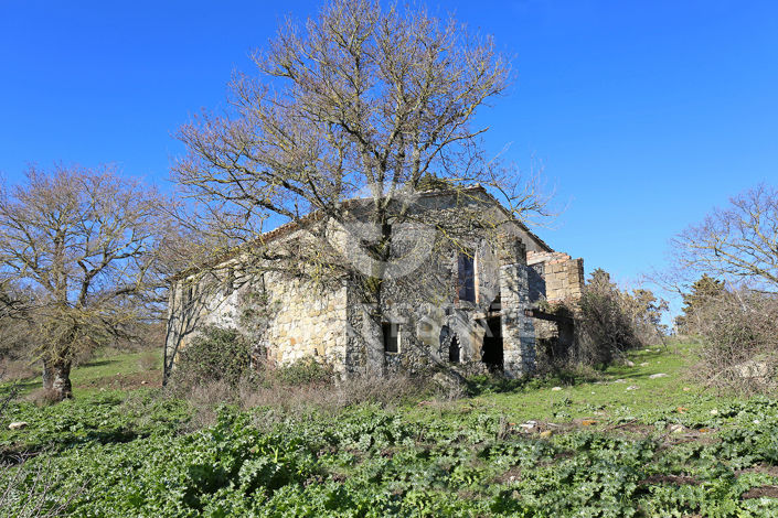 Image No.5-Country House for sale