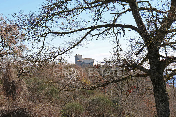 Image No.9-Country House for sale