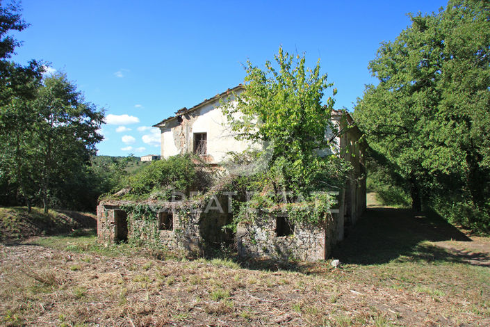 Image No.5-Maison de campagne à vendre à Citta della Pieve