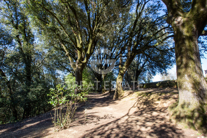 Image No.21-10 Bed Country House for sale