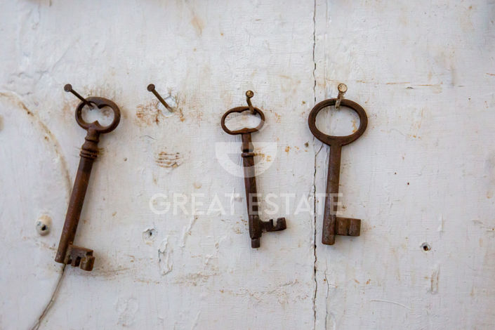 Image No.44-10 Bed Country House for sale