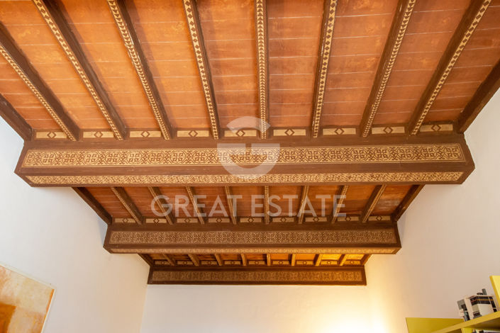 Image No.50-10 Bed Country House for sale