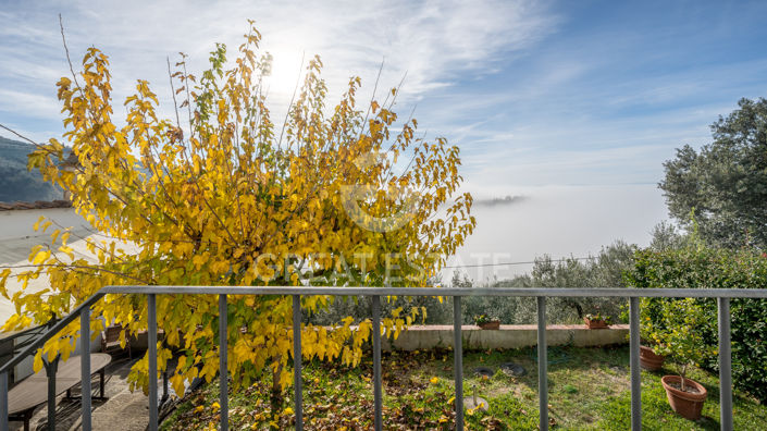 Image No.13-4 Bed Country House for sale