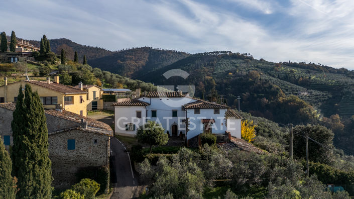 Image No.7-4 Bed Country House for sale