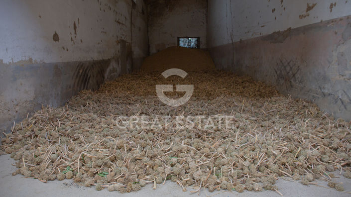 Image No.19-Country House for sale