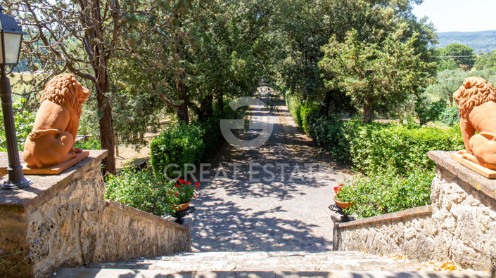 Image No.12-11 Bed Villa for sale