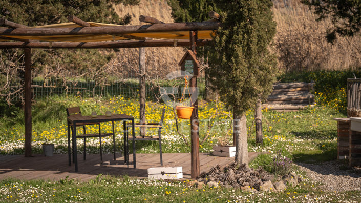 Image No.45-Maison de campagne de 5 chambres à vendre à Radicofani