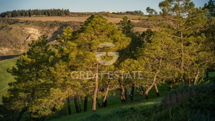 Image No.52-Maison de campagne de 5 chambres à vendre à Radicofani