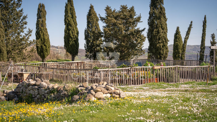 Image No.53-Maison de campagne de 5 chambres à vendre à Radicofani