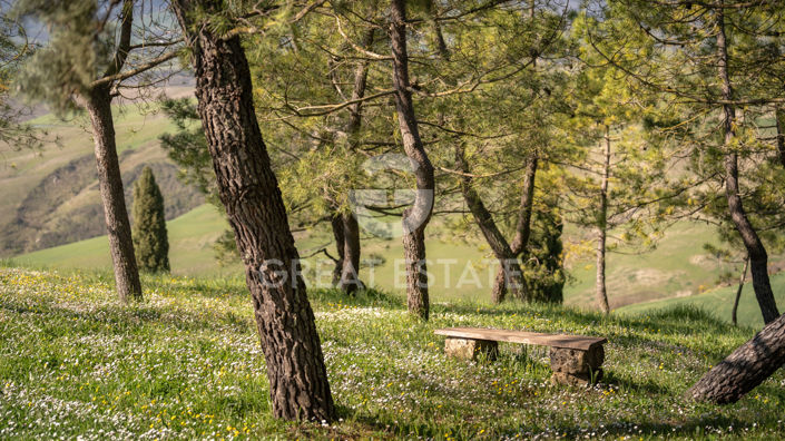 Image No.55-Maison de campagne de 5 chambres à vendre à Radicofani
