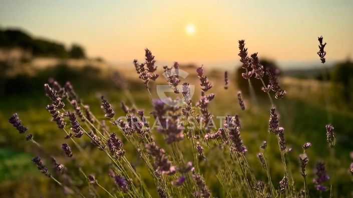 Image No.41-3 Bed Country House for sale