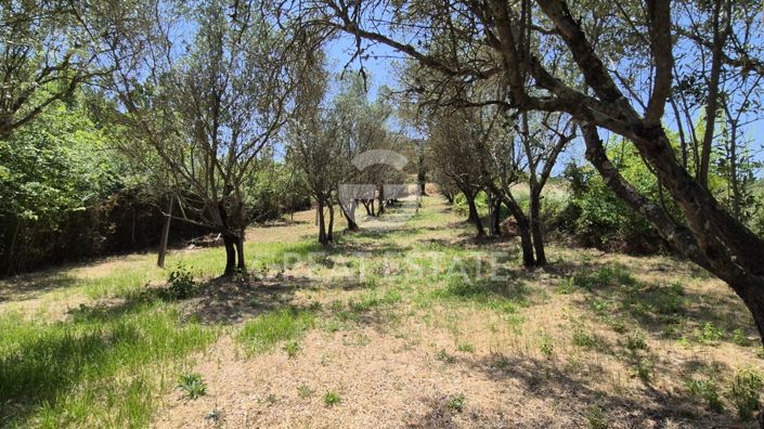 Image No.47-3 Bed Country House for sale