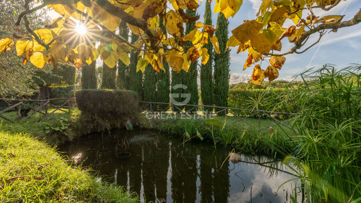 Image No.17-7 Bed Country House for sale